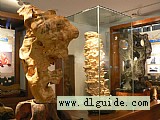金石滩地质博物馆